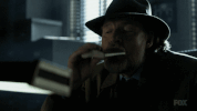 fox broadcasting GIF by Gotham
