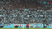 Fan GIF by Olympique de Marseille