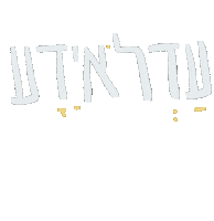 Jewish Hebrew Sticker by adis