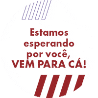 Fiat Sticker by Grupo DRSUL