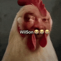 Son Lo Siento GIF