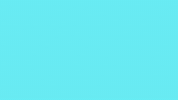 Komodo Dragon Car GIF by moonbug