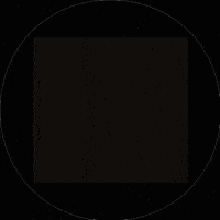 tony_petfluencer_agency dog dogs tony hund GIF