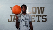 Georgia Tech Adidas GIF by Georgia Tech Yellow Jackets