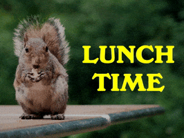 Hungry Feed Me GIF by Sealed With A GIF