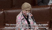 Carolyn Maloney Dc Statehood GIF by GIPHY News