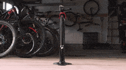 GIF by IFHT Films