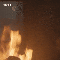 Fire Camp GIF by TRT