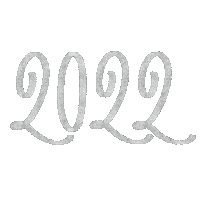 New Year Новый Год Sticker