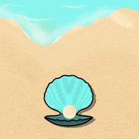 evellynmalves mar onda concha ondas GIF