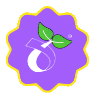 Loop Flower Sticker by pogipets