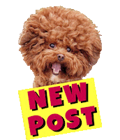 The Bachelor Dog Sticker