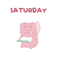 Flying Pig Weekend Sticker by PositivelyPigasus