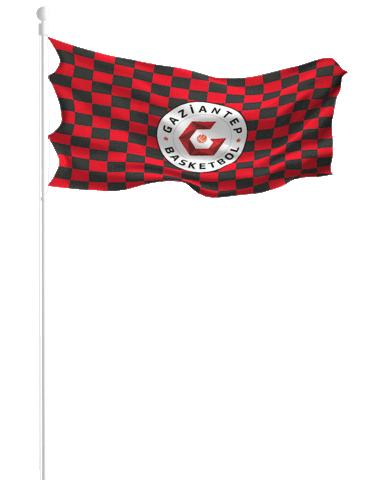 Gaziantepbasketbol giphyupload top gb basketbol Sticker