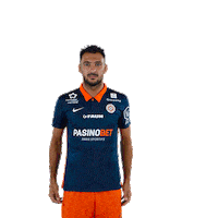 Allez Go Sticker by MHSC