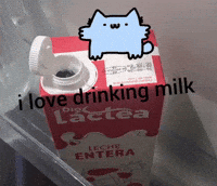 Cat Nub GIF