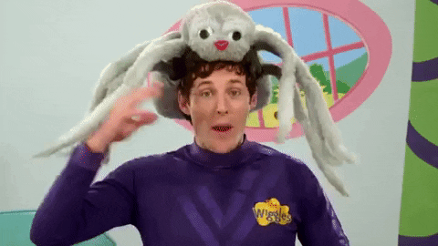 Hair Hat GIF by The Wiggles
