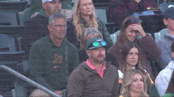 Sport Baseball GIF by MLB