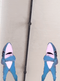 beta GIF