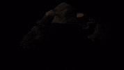 Assassins Creed GIF by OneRepublic