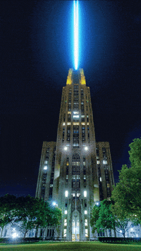 Winning University Of Pittsburgh GIF by Pitt Panthers