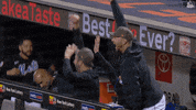 Celebrate Major League Baseball GIF by New York Mets