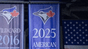 Blue Jays Baseball GIF by Toronto Blue Jays
