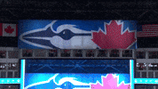 Blue Jays Baseball GIF by Toronto Blue Jays