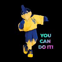 LernerCollegeofBusiness delaware ud udel blue hens GIF