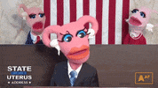 Abortionaf GIF by Abortion Access Front