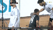 GIF by Sport Lisboa e Benfica