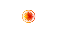 Sticker by TEAMride Studios