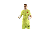 Football Celebrating Sticker by SK Slavia Praha