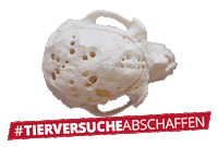 Tierschutz Tierrechte Sticker by aerztegegentierversuche