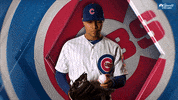 Excited Chicago Cubs GIF by NBC Sports Chicago