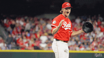 Baseball Yell GIF by Cincinnati Reds