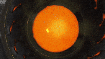 San Francisco Shock Fly GIF by NRG Esports & SF Shock