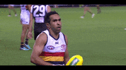 afl betts GIF by Adelaide Crows