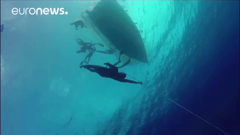 Le Grand Bleu GIF by euronews