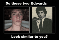 Tedstein GIF