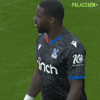 Premier League What GIF by Crystal Palace Football Club