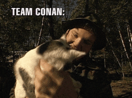 andy richter cat GIF by Team Coco