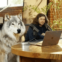 Dog Wolf GIF by TomsProject