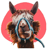 Sticker by SOY FANIMAL