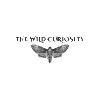 Silence Of The Lambs Halloween Sticker by The Wild Curiosity