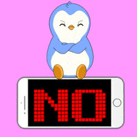 Penguin No GIF by Pudgy Penguins
