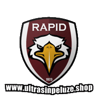 Rapid Bucuresti Giulesti Sticker by UltrasInPeluze