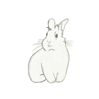 Fun Bunny Sticker