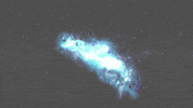 GIF by KQEDScience
