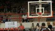 bsnpr  GIF